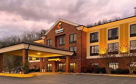 Comfort Inn & Suites Rogersville